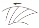 図：翼の特徴